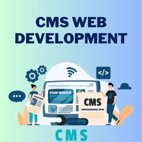 Custom CMS Development Services | CMS Web Application Development in Gold Coast, AU
