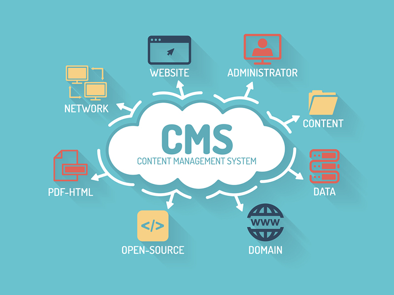 Custom CMS Development Services in Gold Coast, AU - Scalable Content Management Solutions
